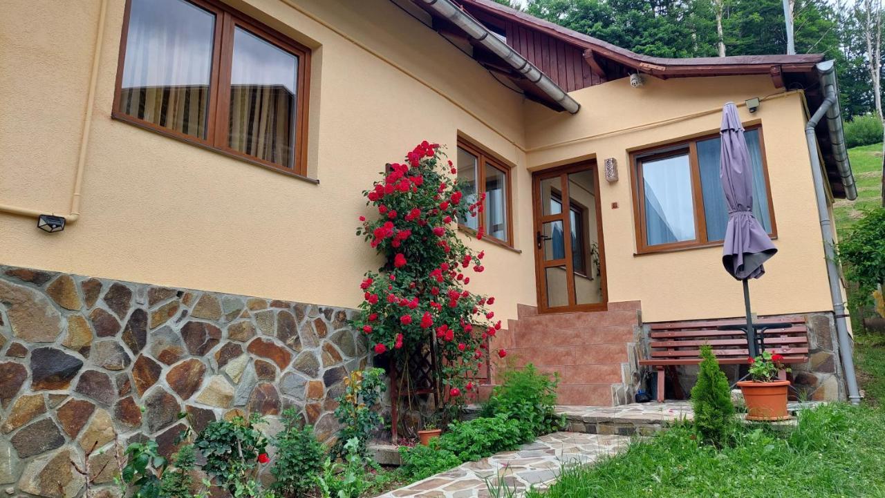 Casa Tex Villa Busteni Exterior photo